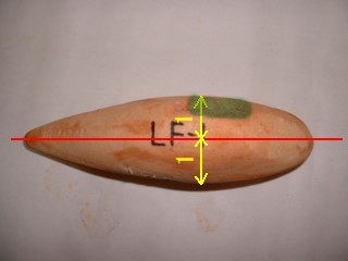 Fバス中型形状